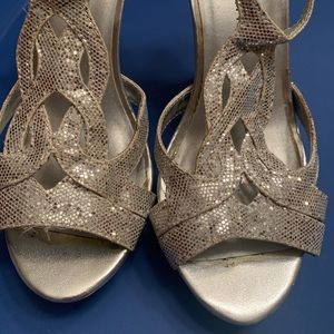Silver Shoes